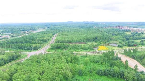 55世纪-购彩大厅welcome(中国游)官方网站