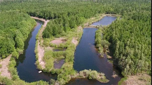 55世纪-购彩大厅welcome(中国游)官方网站