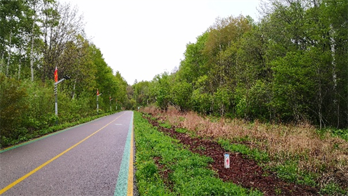 55世纪-购彩大厅welcome(中国游)官方网站