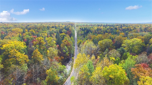 55世纪-购彩大厅welcome(中国游)官方网站