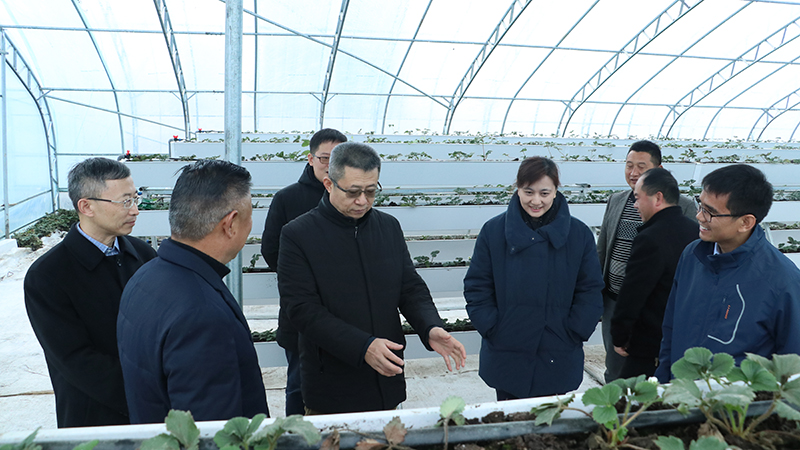 55世纪-购彩大厅welcome(中国游)官方网站