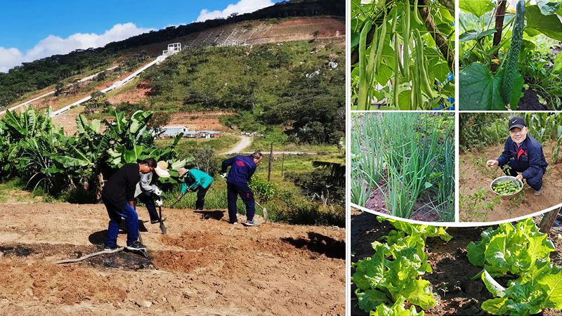 55世纪-购彩大厅welcome(中国游)官方网站